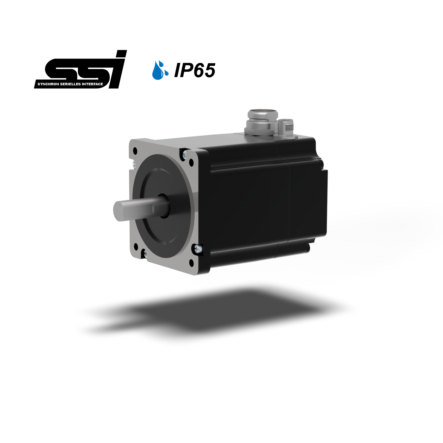 P86SH80-TM1611S05C P86SH80-TM1611S05C